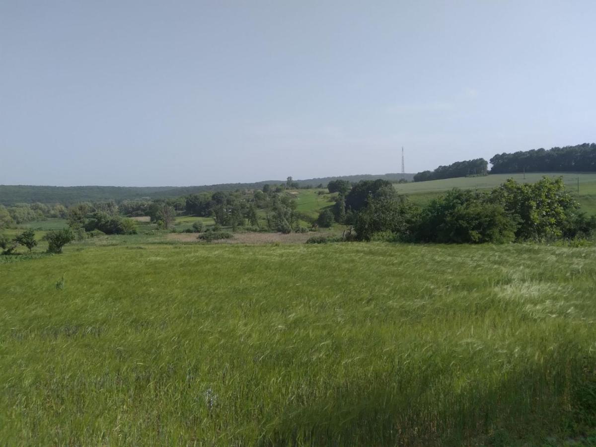 Соколине Гніздо Βίλα Dmitrenki Εξωτερικό φωτογραφία