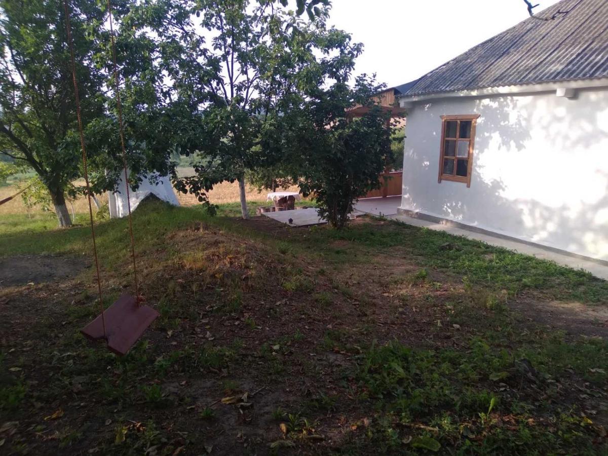 Соколине Гніздо Βίλα Dmitrenki Εξωτερικό φωτογραφία